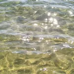 Rincon Tranquilo Junto Al Mar *